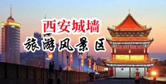 肤白大胸美女被男人大鸡鸡捅中国陕西-西安城墙旅游风景区