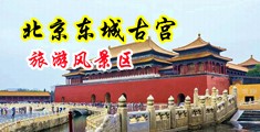 美女被艹到出淫水的视频中国北京-东城古宫旅游风景区